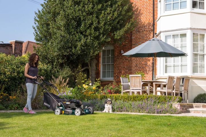 lawn mover Sales and repairs Norwich